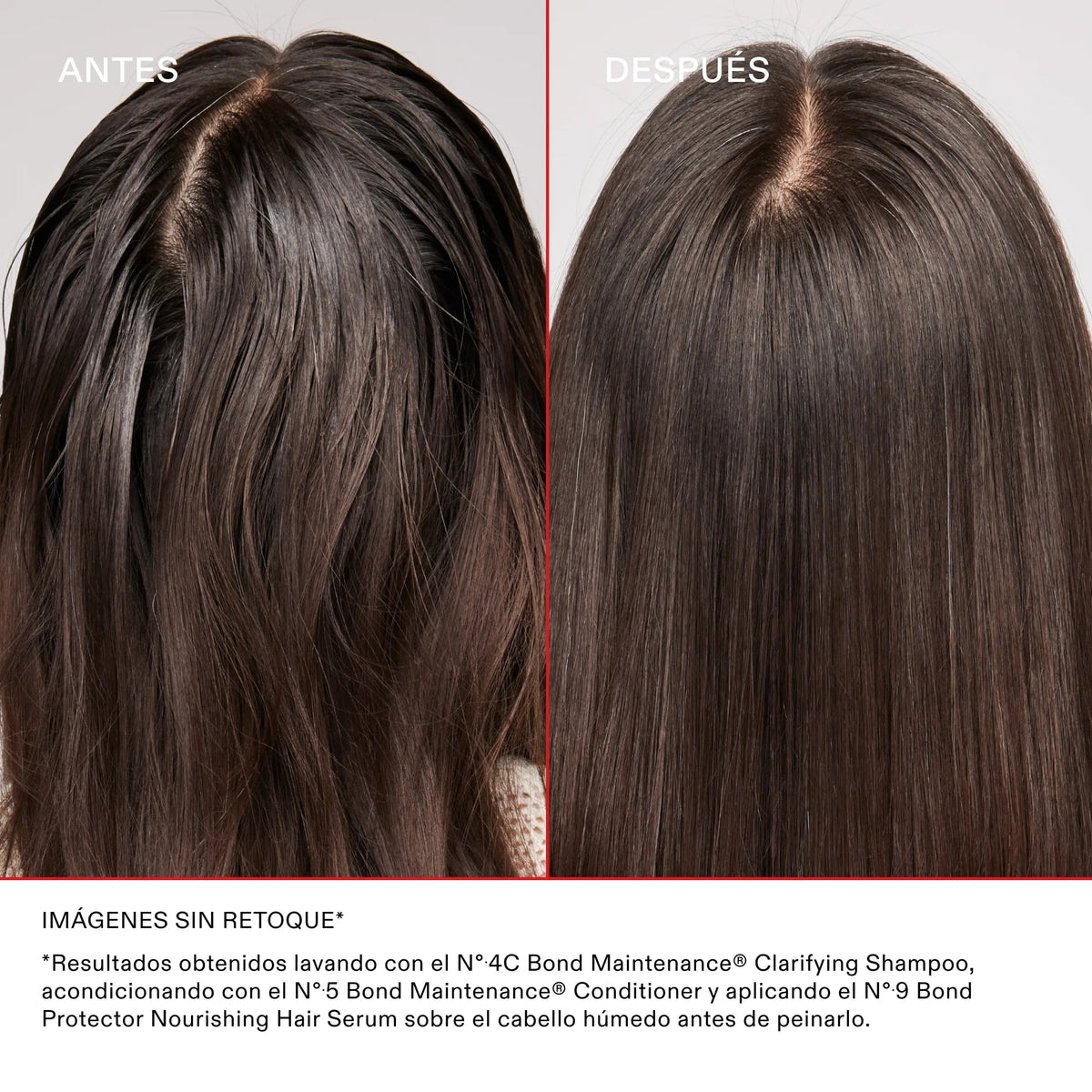 N°4C Bond Maintenance Clarifying Shampoo — infografía 4