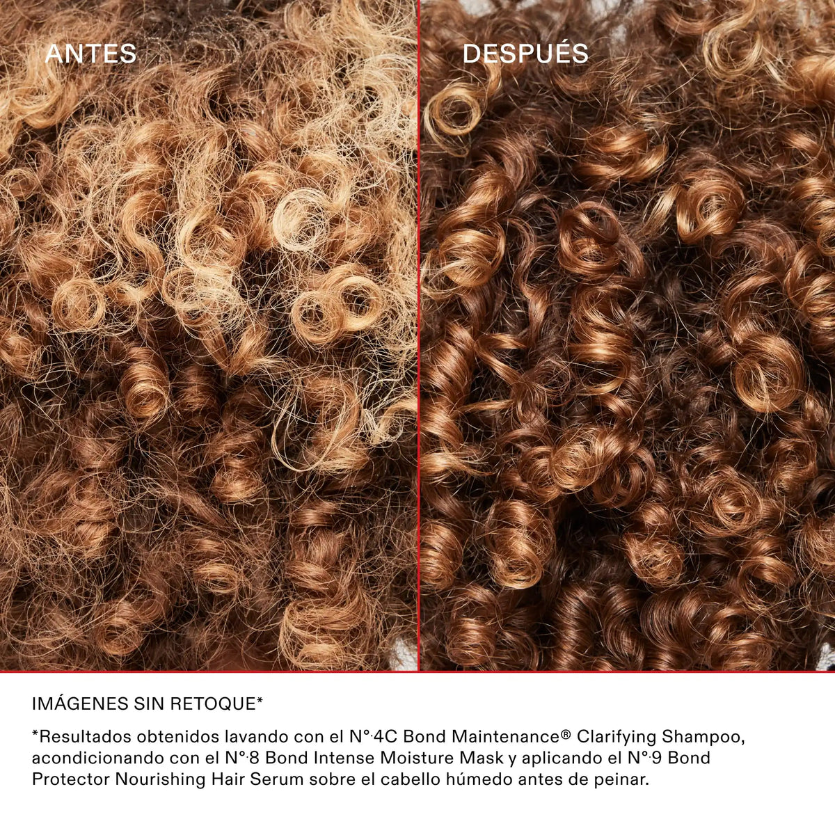N°4C Bond Maintenance Clarifying Shampoo — infografía 5