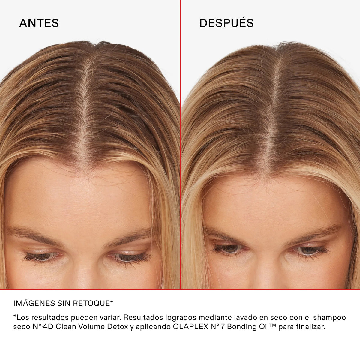 N°4D Clean Volume Detox Dry Shampoo — infografía 4