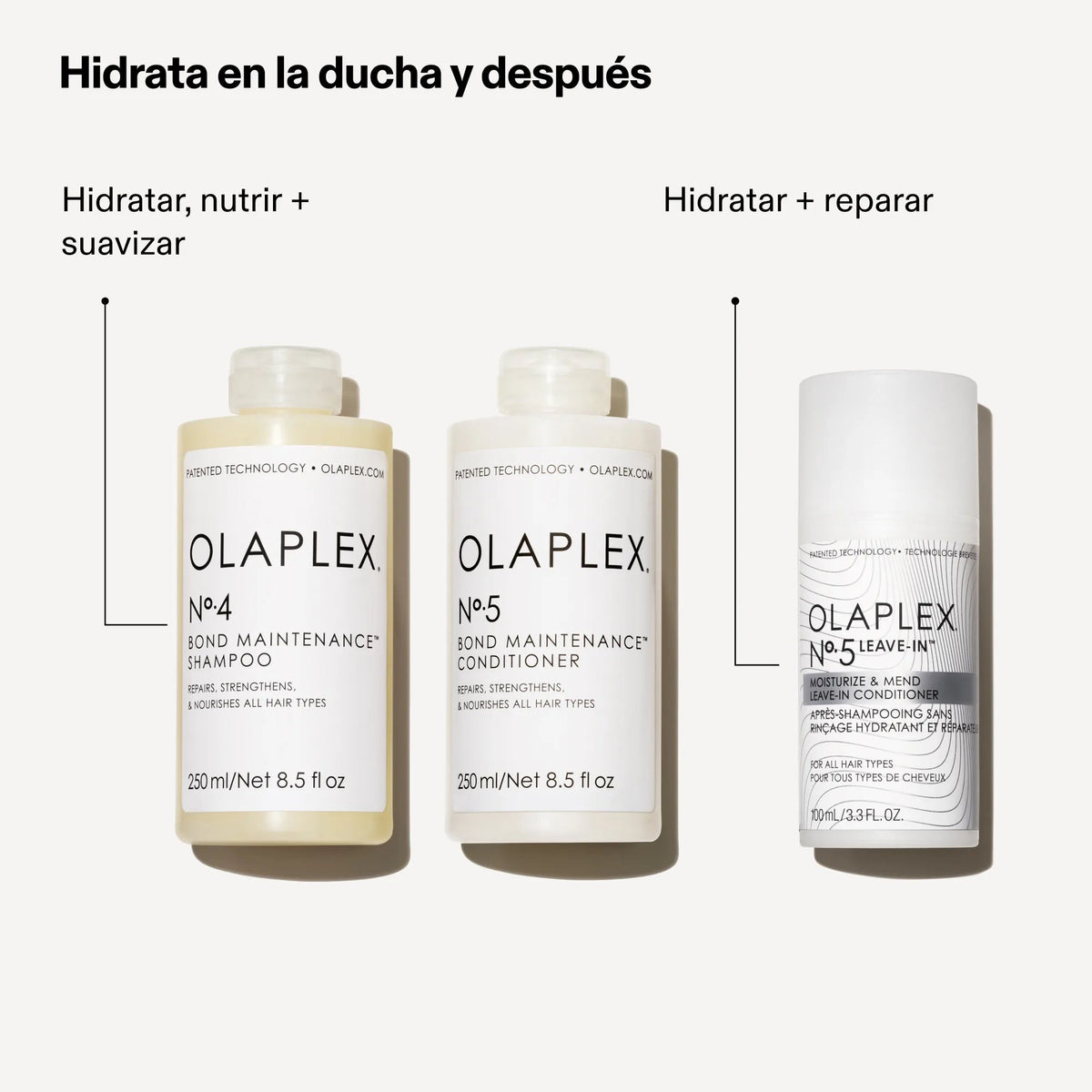 N°5 Leave-In Moisture & Mend Conditioner — infografía 6