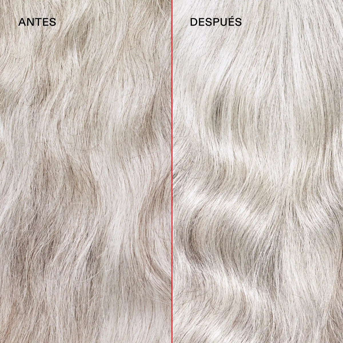 N°5P Blonde Enhancer Toning Conditioner — infografía 1
