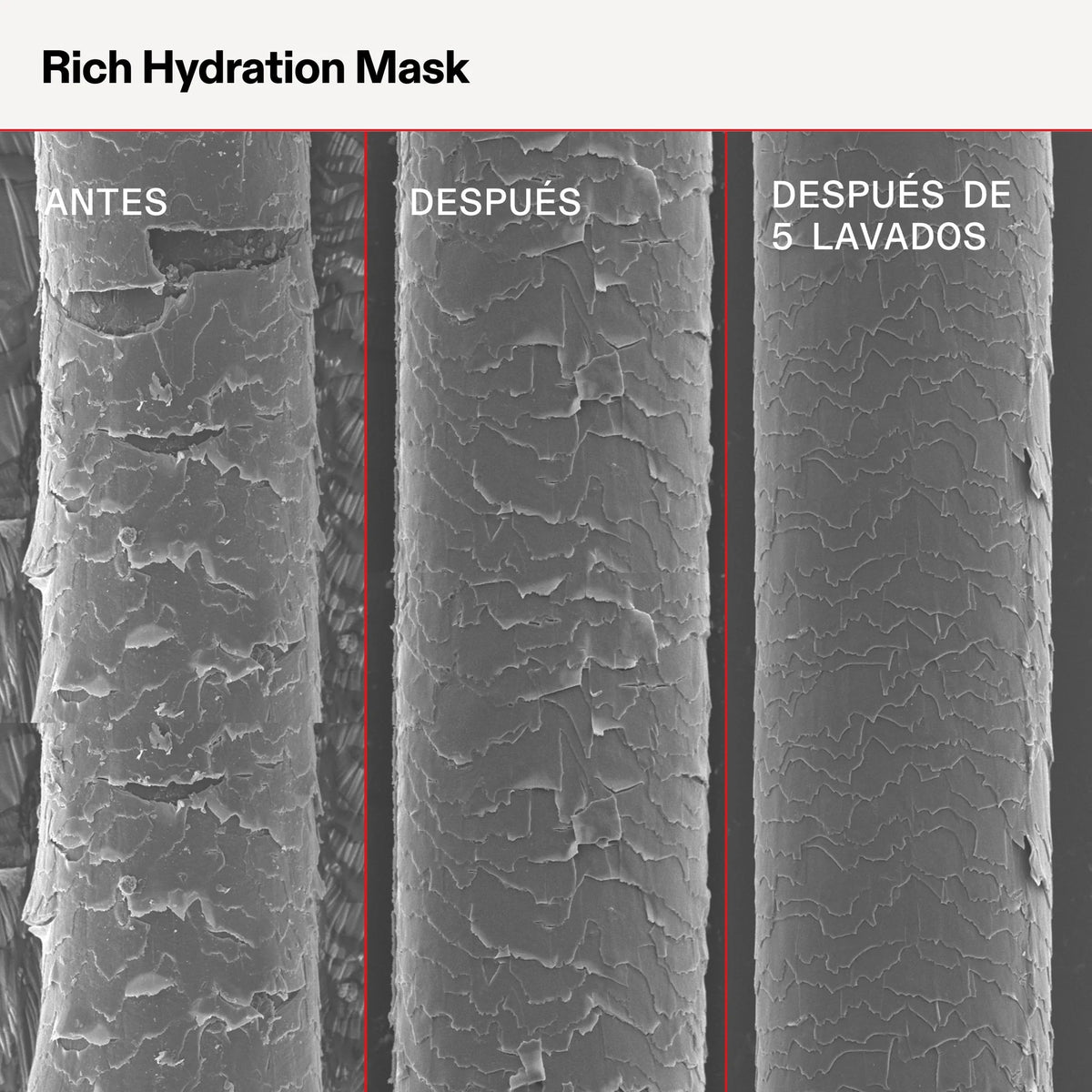 Rich Hydration Mask — infografía 5