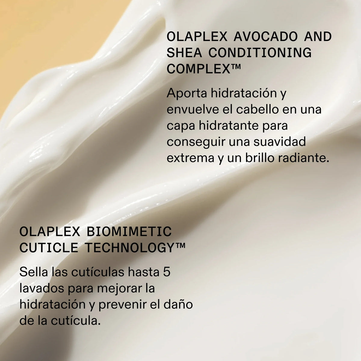 Rich Hydration Mask — infografía 6